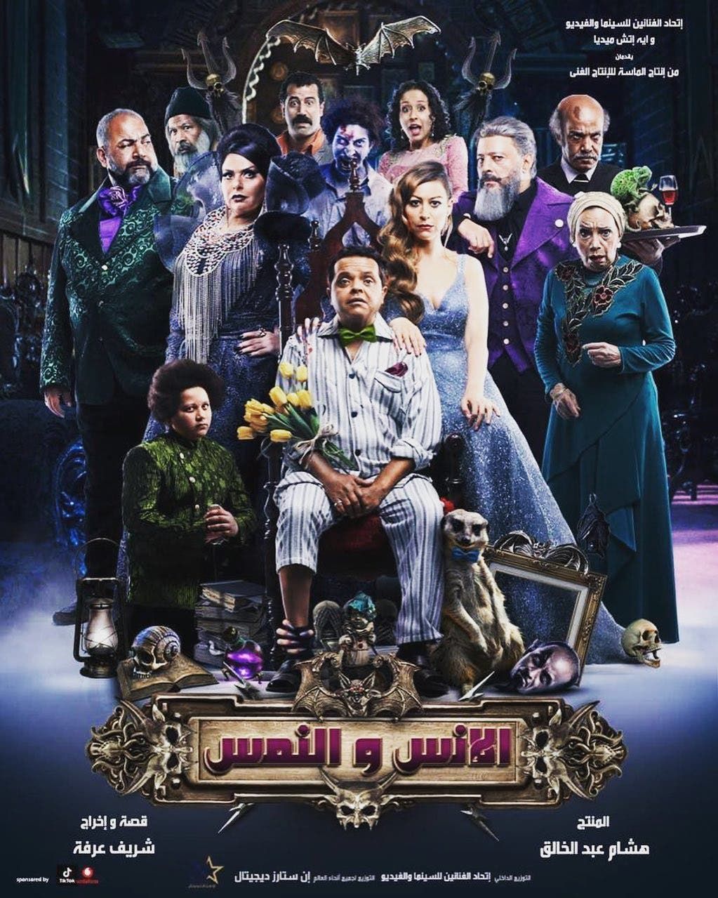 ملصق فيلم الأنس والنمس