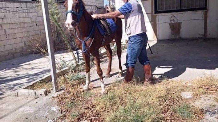 لبنان.. معلم يستعمل حصانه في الوصول إلى المدرسة بسبب الأوضاع الاقتصادية (صور)