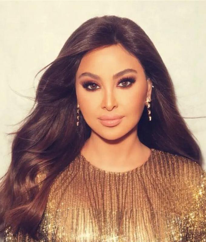 بعد الغارات على الضاحية والجنوب.. إليسا تشن هجوما عنيفا على "الحزب" (صورة)