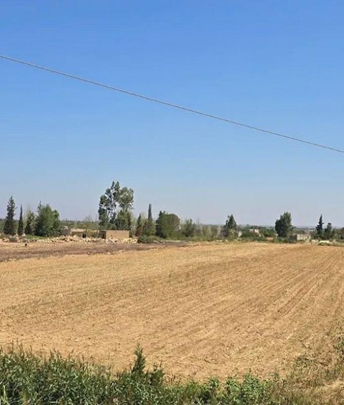 عناصر مسلّحة سورية توغّلت إلى حوش السيد علي!