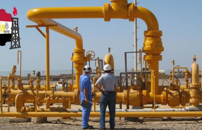 مصر توقع 9 اتفاقات للتنقيب عن النفط والغاز