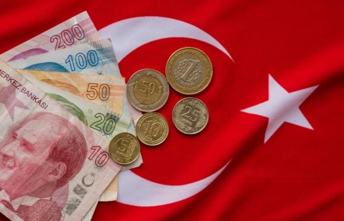 الليرة التركية تستهل العام الجديد بتراجع حاد
