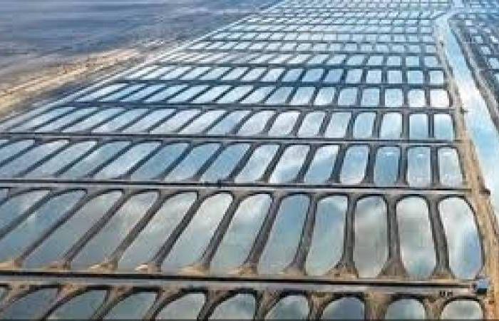 مصر تفتتح أكبر مشروع لاستزراع السمك في الشرق الأوسط