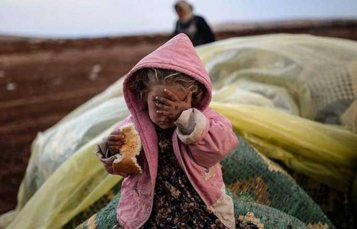 12.4 مليون سوري يعانون انعدام الأمن الغذائي