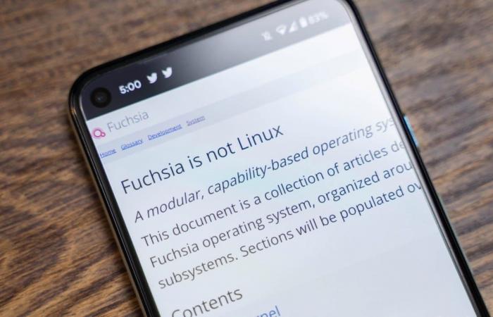 Fuchsia OS يشغل برامج أندرويد ولينكس محليًا