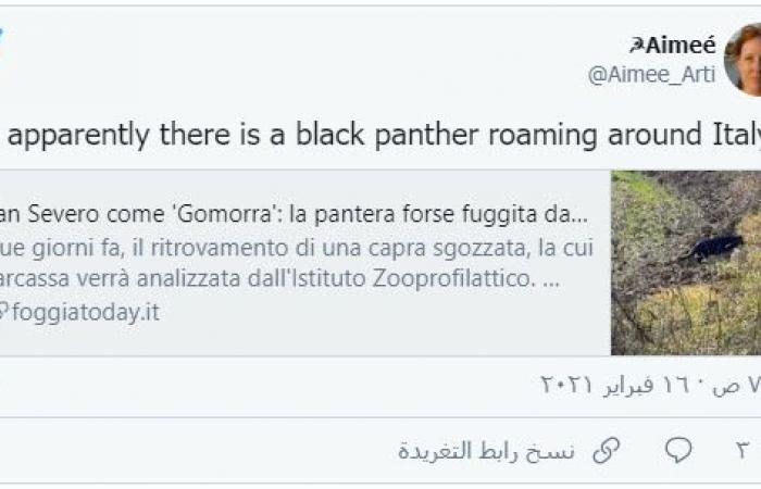 مسؤول إيطالي يحذر السكان من “الفهد الأسود”