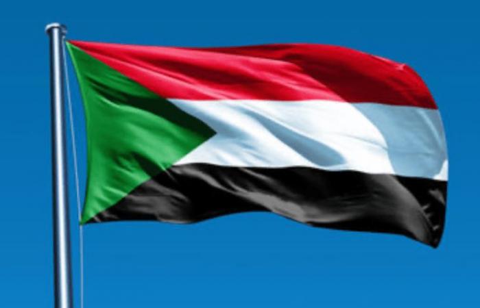 السودان يحيل شركات الصناعات الدفاعية لإشراف وزارة المالية