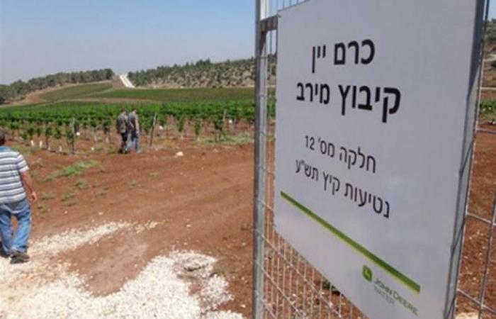 منح أمريكية لشركات زراعية إسرائيلية بقيمة 6.7 مليون $