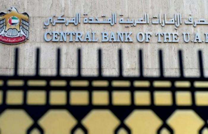 الإمارات: كورونا زاد مخاطر تدفقات غسل الأموال والإرهاب