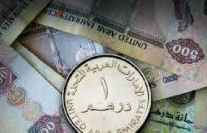 مصرف الإمارات المركزي: نعمل على أن يصبح الدرهم عملة دولية
