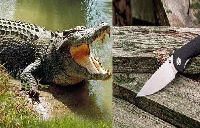 ستيني ينجو من الموت بين فكي تمساح بفضل سكين صغيرة