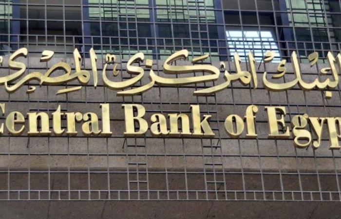 المركزي المصري يطرح أذون خزانة بنحو 700 مليون دولار
