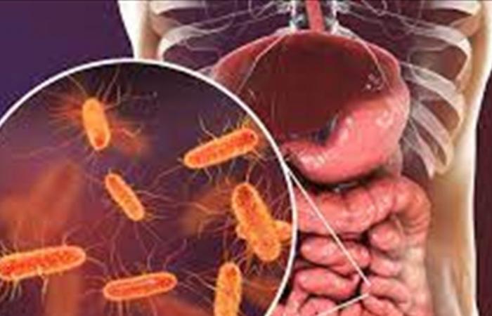 بكتيريا الأمعاء... هل تؤثر على شخصيتك؟