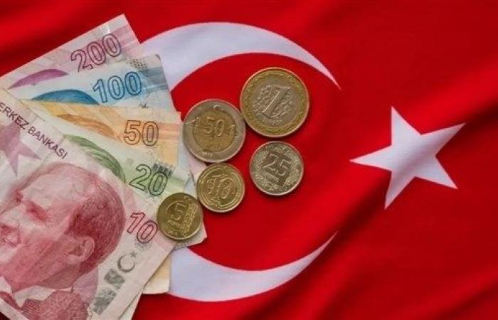 البنوك التركية تبيع 3 مليارات دولار لدعم الليرة