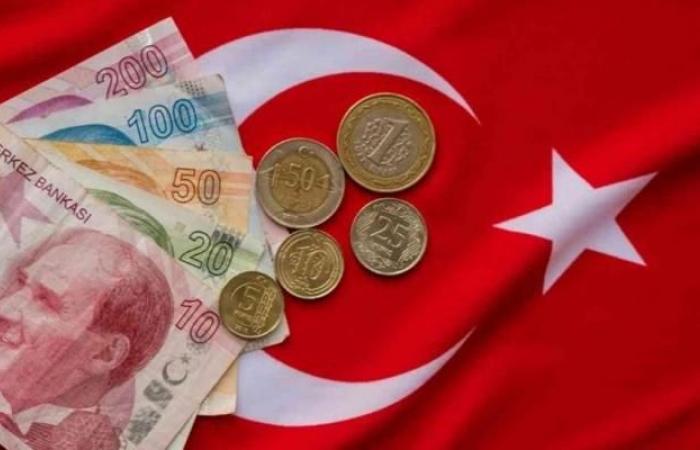 الليرة التركية تتراجع إلى أدنى مستوى لها في 5 أشهر