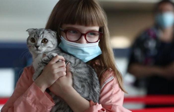 'كورونا'... تسجيل أول حالة انتقال للعدوى من قطة إلى إنسان