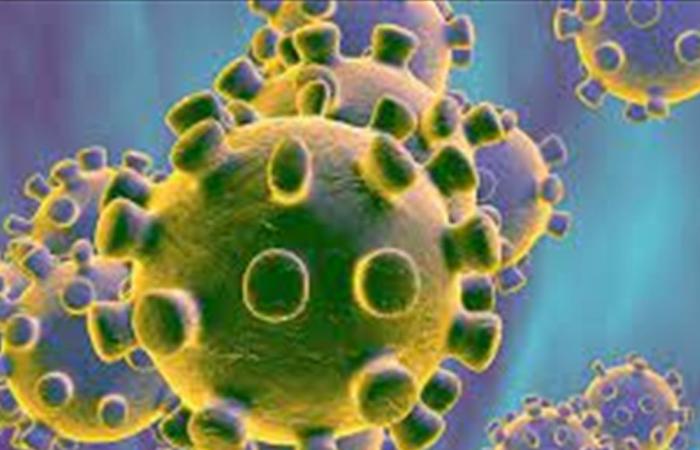 فيروس جديد يشبه "كورونا"... هل يجب ان نقلق؟