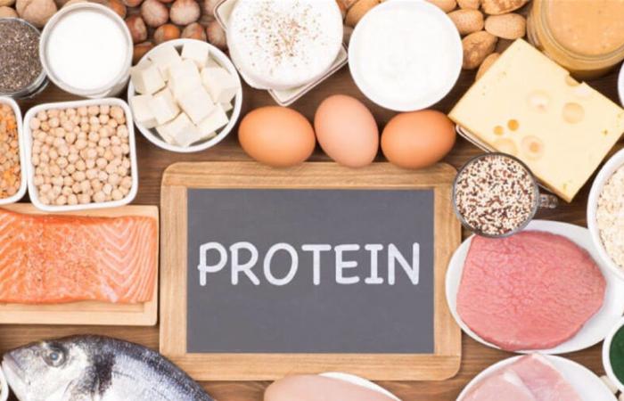 العلم يكشف عن كمية البروتين المثلى لاكتساب العضلات