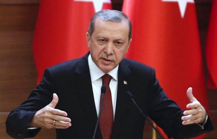 أردوغان: طلبنا الدعم الروسي في سوريا
