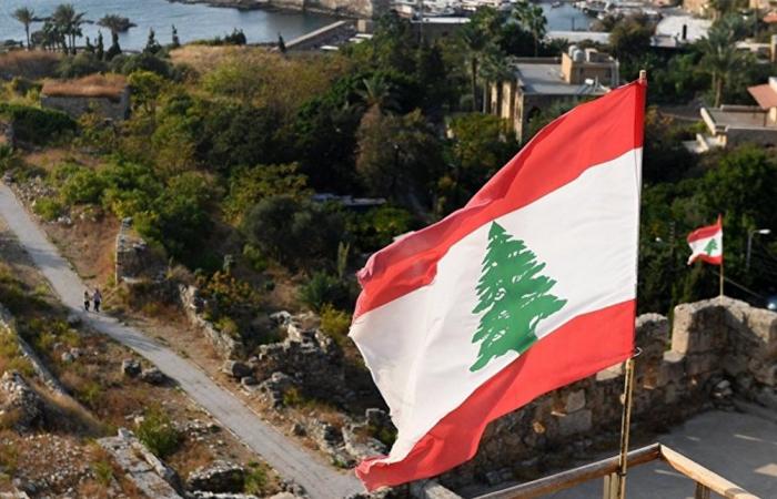 نائب في البرلمان الأوروبي: إننا نهدم لبنان ونساهم في إعدامه (فيديو)