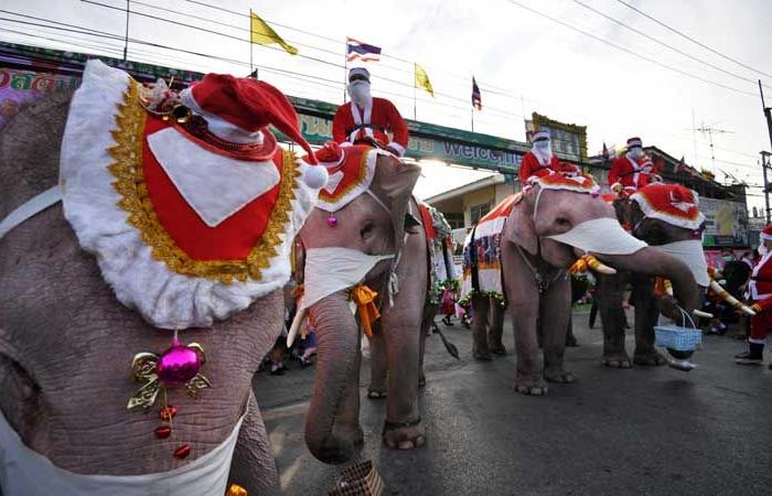 في تايلاند.. بابا نويل يوزع الهدايا من فوق ظهور الأفيال