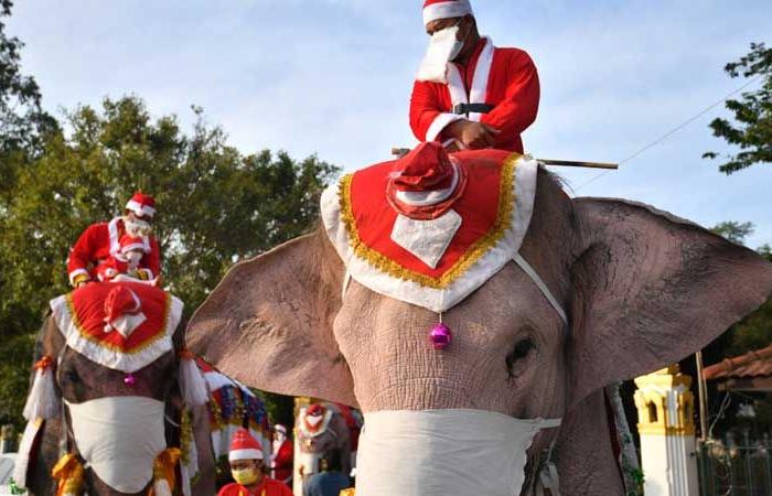 في تايلاند.. بابا نويل يوزع الهدايا من فوق ظهور الأفيال