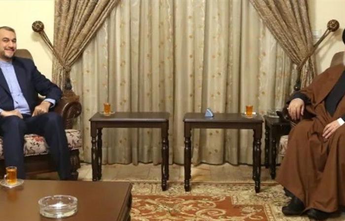 "تمويه أمني".. متى التقى نصرالله وزير خارجية إيران؟