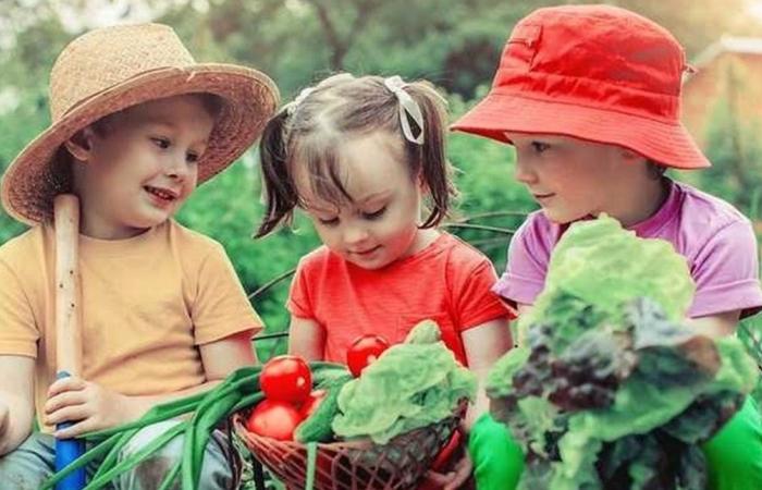 النظام الغذائي النباتي خطر على الأطفال!