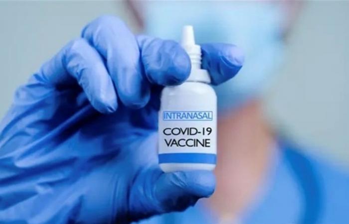 نجاح مبكر للقاح ضد كورونا يتم رشه بالأنف