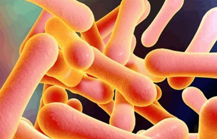 قد يُسبب الشلل أو الموت.. ما هو مرض "الدفتيريا"؟