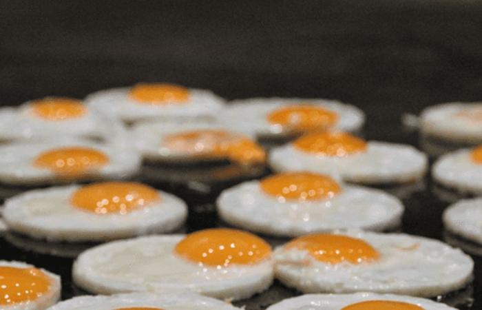 4 أمور ستتغير في حياتك لو تناولت البيض يوميا.. اليكم آخر الدراسات