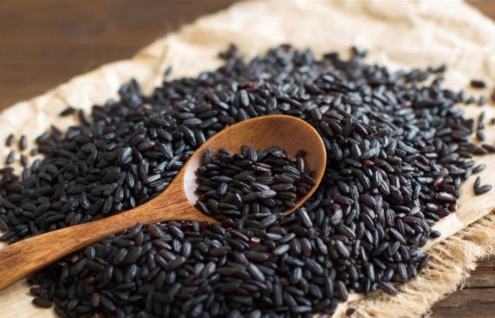 4 فوائد صحية مدهشة للأرز الأسود.. تعرفوا عليها