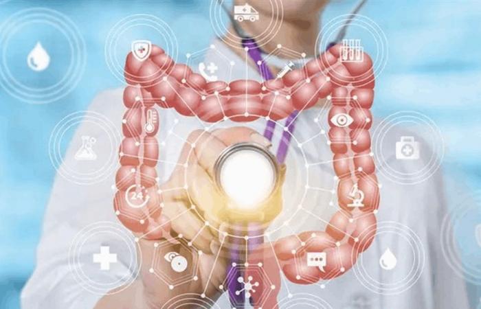 "كيف يؤثر الإجهاد على المناعة؟.. دراسة تكشف دور الغدد المعوية في التوازن النفسي