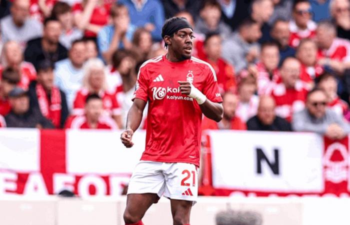 في صفقة ضخمة.. فريق نيوكاسل يضم هذا اللاعب