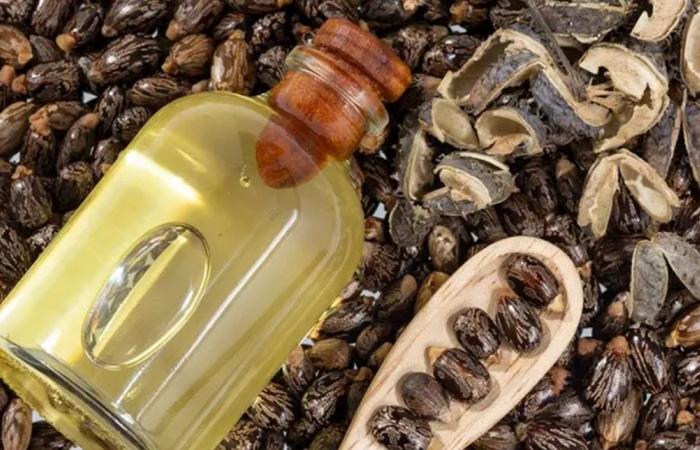 فوائد صحية لزيت الخروع.. تعرفوا عليها!