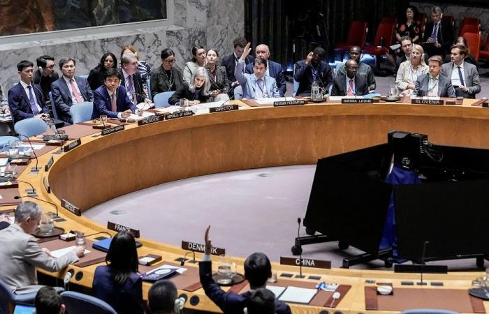 مجلس الأمن يؤكد دعمه لسيادة لبنان