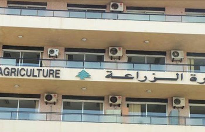 تسجيل حالات حمى قلاعية في مزارع للمواشي