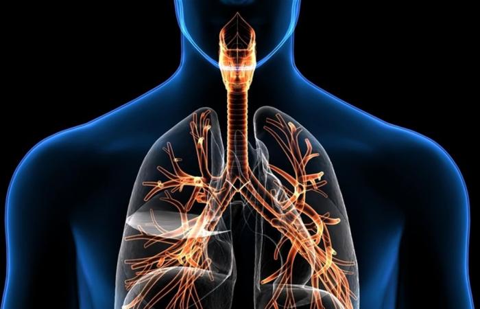 عادات بسيطة ويومية تعزز وظائف الجهاز التنفسي