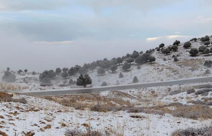 بالفيديو: ثلوج على مرتفعات الضنية