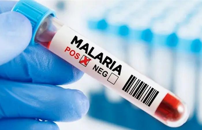 أقمشة تقلل إصابة الرضع بالملاريا.. اليكم آخر ما كشفته الدراسات