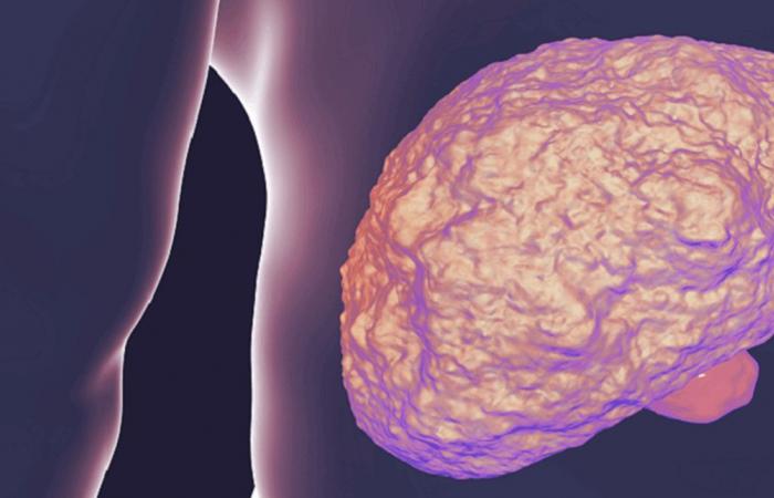 كيف يؤثر تليف الكبد على أمراض القلب؟