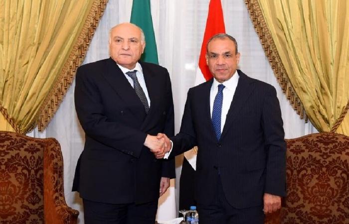 مصر والجزائر ترفضان التدخلات الخارجية في أفريقيا