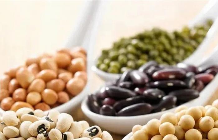 أطعمة غنية بالزنك تقوي جهازك المناعي في فصل الشتاء