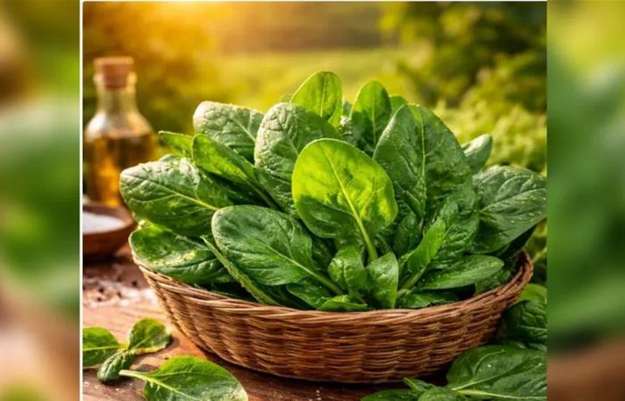 ماذا تفعل السبانخ بجسمك؟ دراسة تجيب