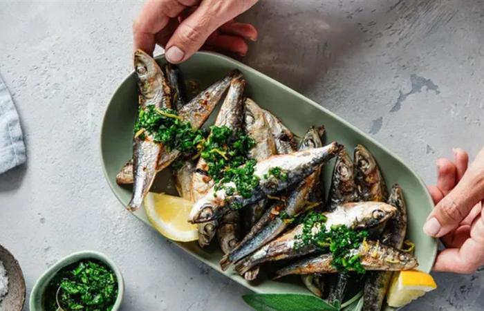 أيهما أغنى بأحماض أوميغا-3 والبروتين السردين أم التونا؟