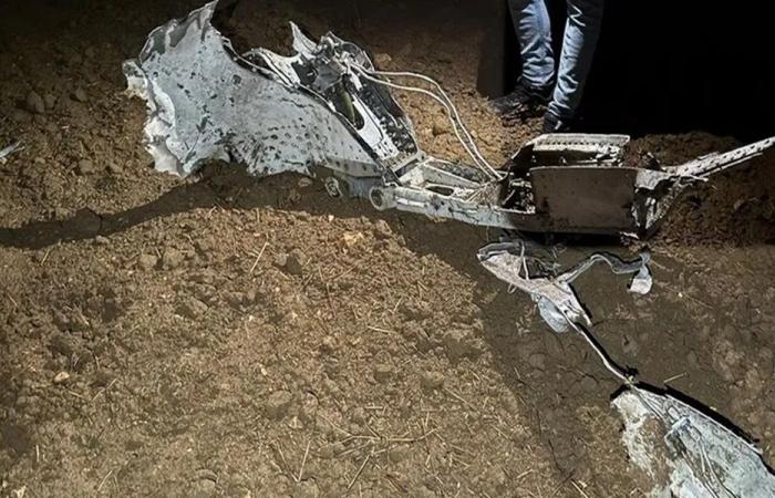 سيدة يونانية بين ضحايا “الطائرة الليبية”