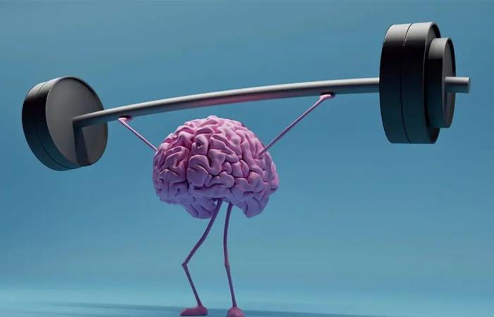 كيف يحافظ الغذاء على صحة دماغك ويعزز الذاكرة؟