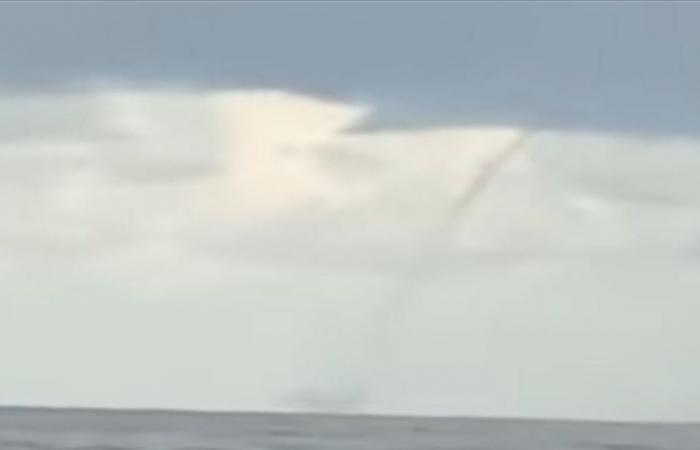 بالفيديو... تنين البحر مقابل شاطىء جونية