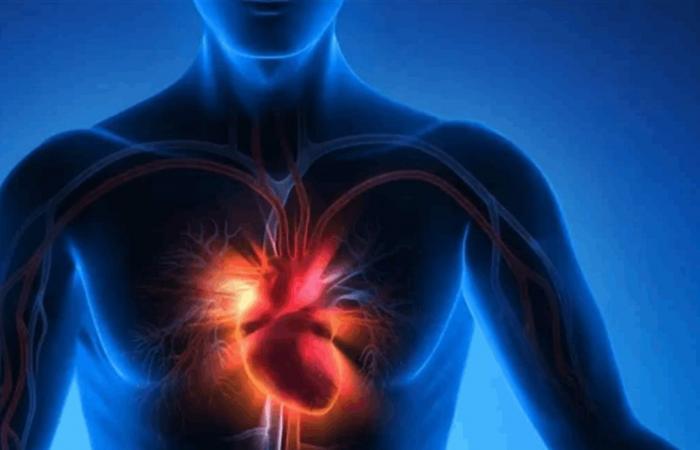 أعراض متفرقة قد تُخفي خطراً.. إشارات التهاب عضلة القلب