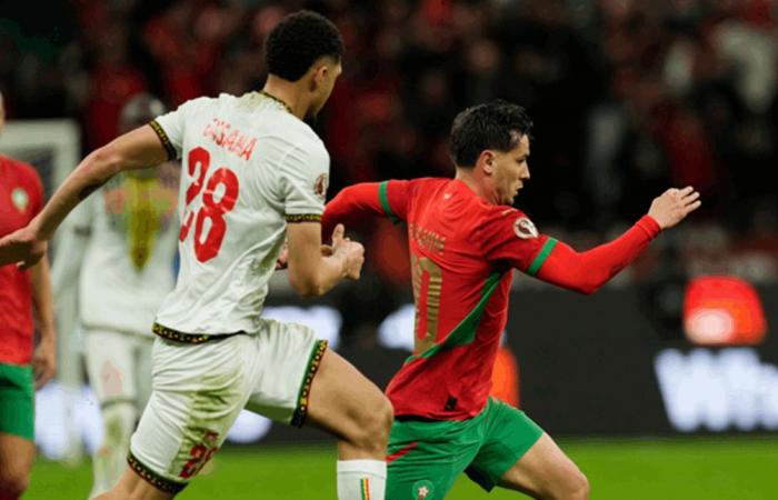 في كأس أمم إفريقيا.. المغرب يتعثر على أرضه أمام مالي (فيديو)